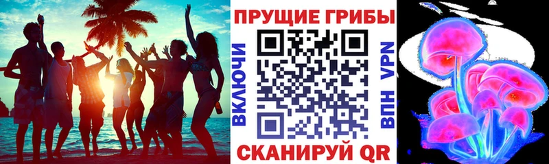 Купить закладки  Собинка  Галлюциногенные грибы мицелий 